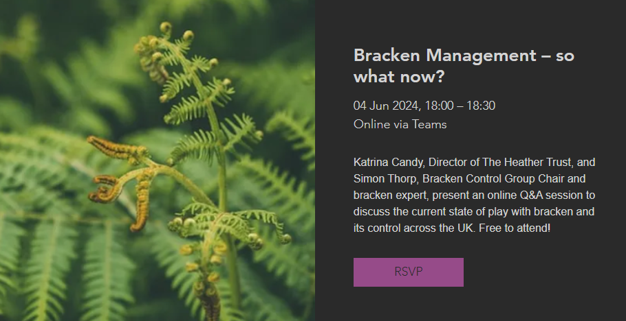 Bracken: A webinar with The Heather Trust and the Bracken Control Group