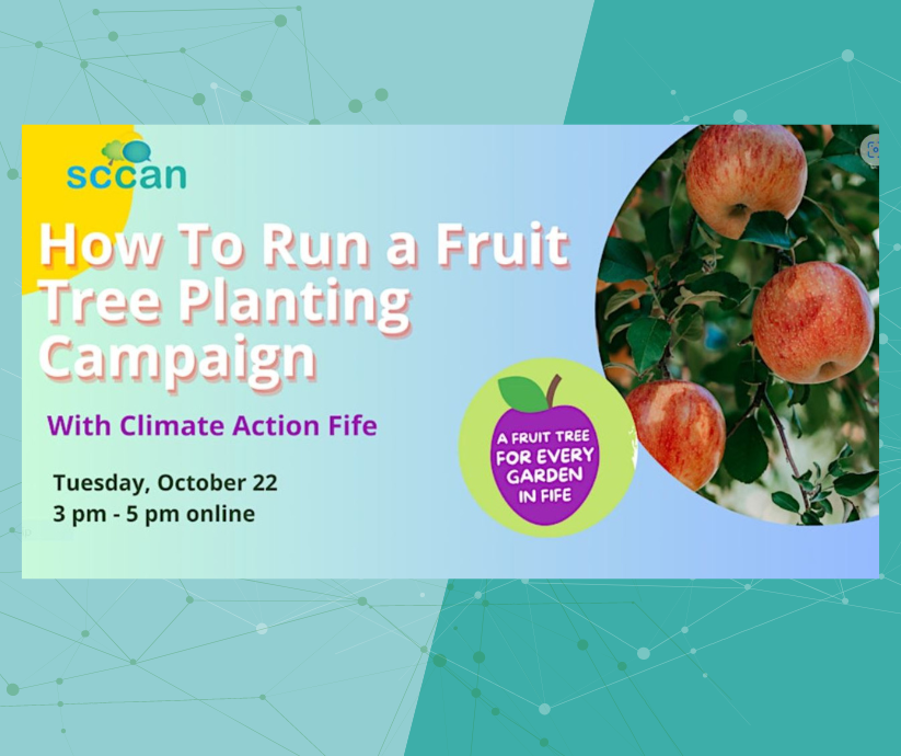 How to Run a Fruit Tree Planting Campaign Flyer