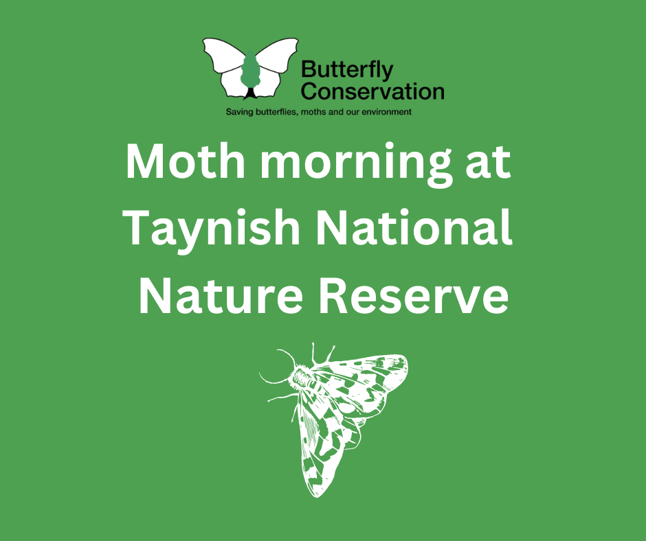  Moth Morning at Taynish National Nature Reserve