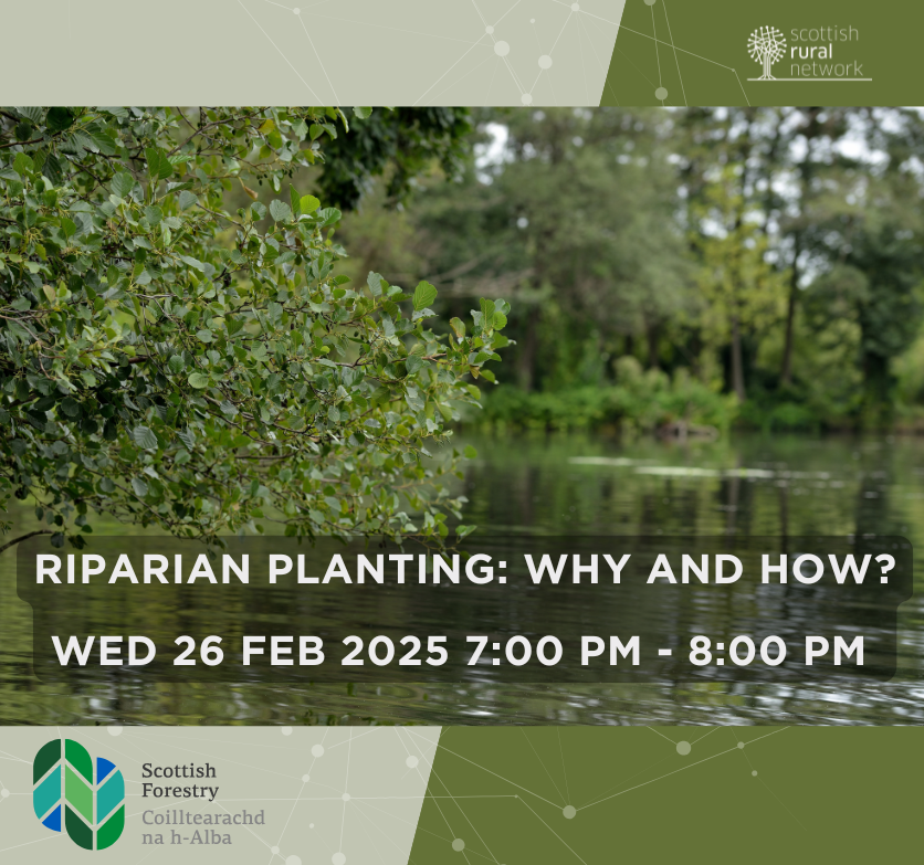 Riparian Planting: Why and How? 