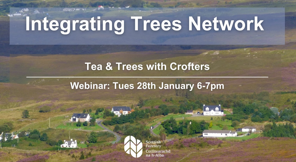 Tea and Trees with Crofters