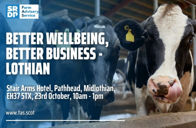 Join FAS and Farmstrong to learn about how managing your wellbeing can lead to improvements in your business.