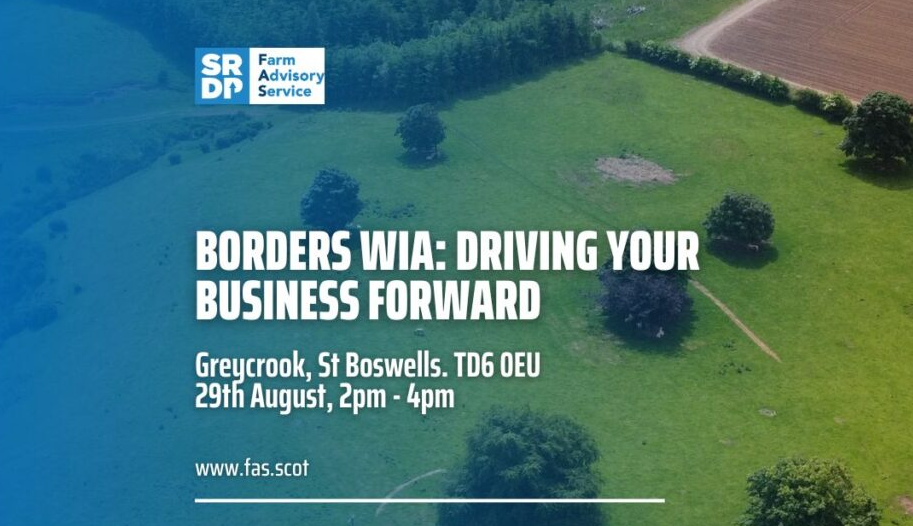 Borders WiA: Driving Your Business Forward