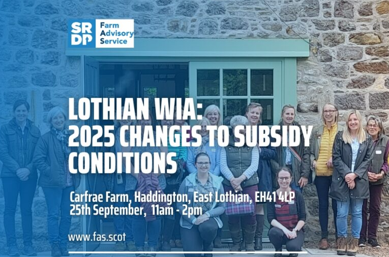 Lothian WiA: 2025 Changes to Subsidy Conditions