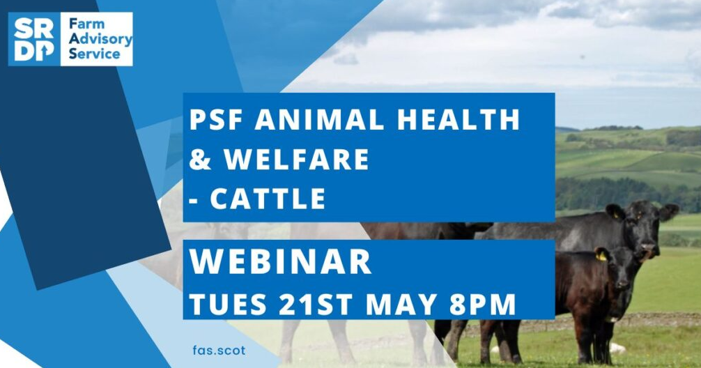 FAS Animal Health & Welfare – Cattle