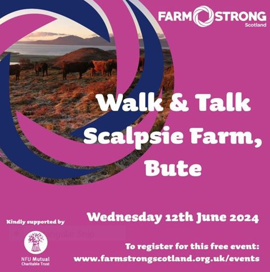 Farmstrong Event Flyer