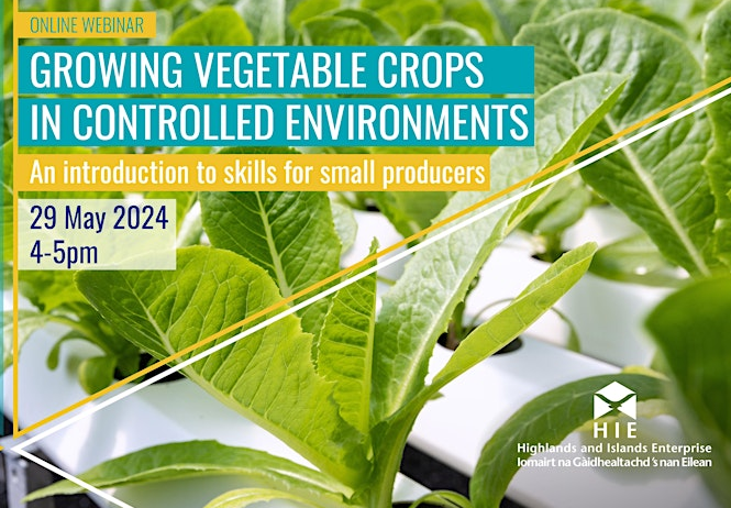 Growing vegetable crops in controlled environments - the skills you need