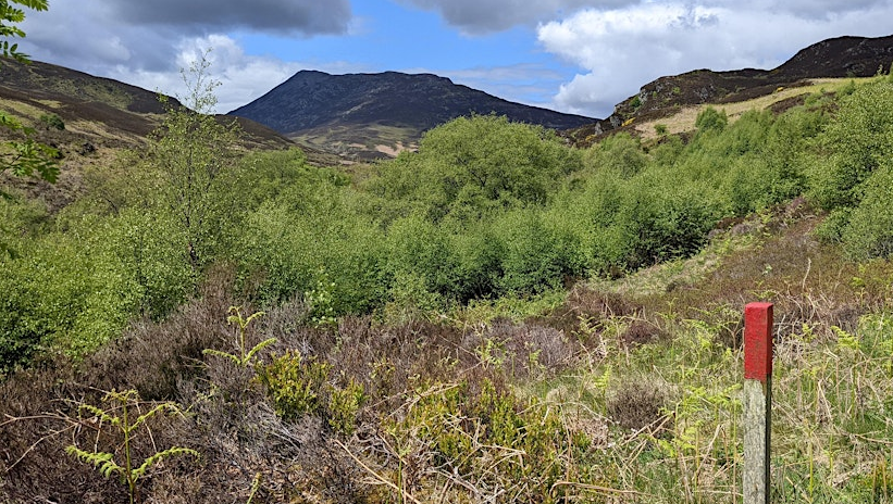 'Heart of Scotland' - Practical Conservation Day