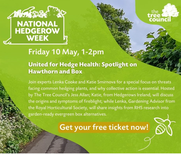 National Hedgerow Week 2024 Celebrate connecting hedgerows, 6 – 12 May