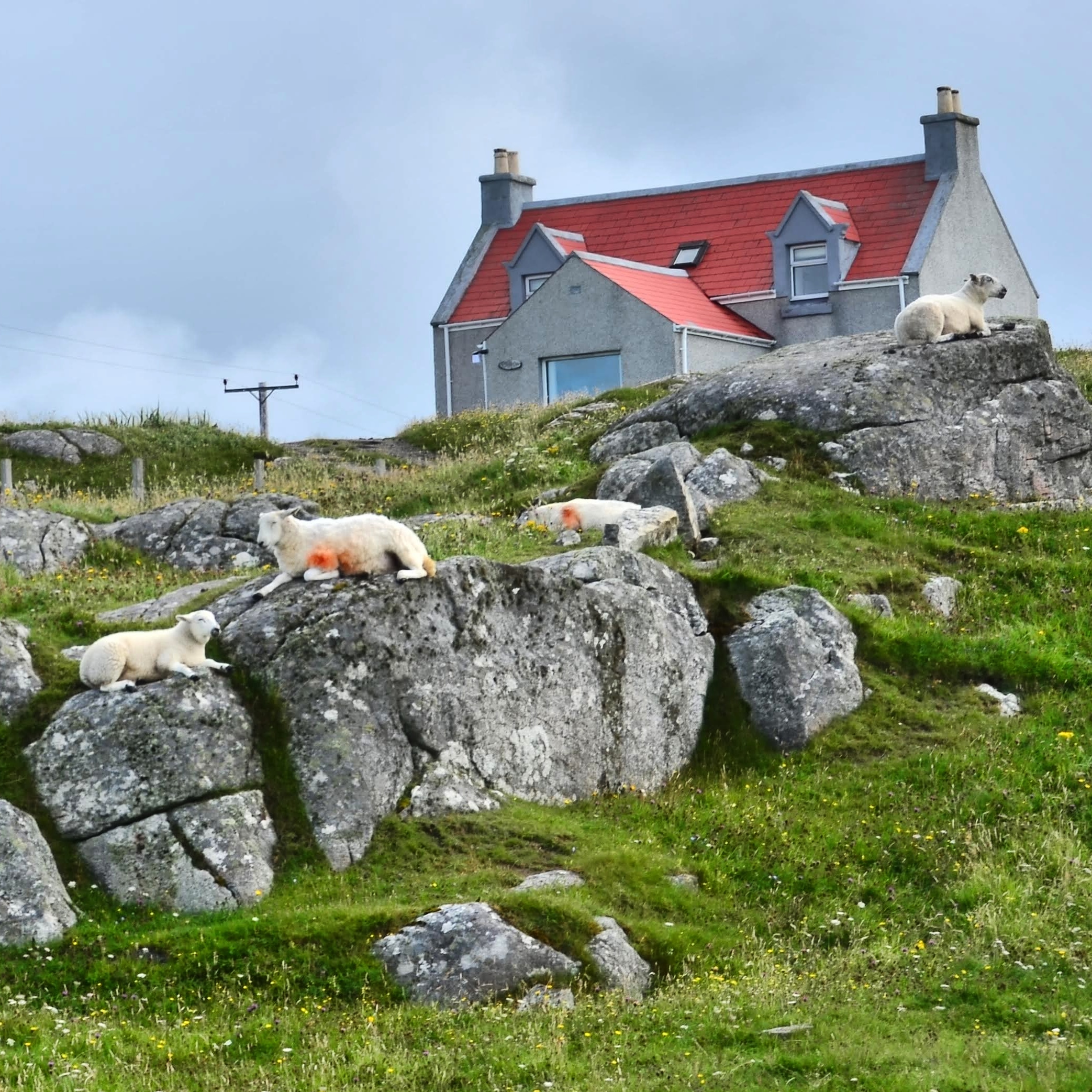 Crofting Roadshow 