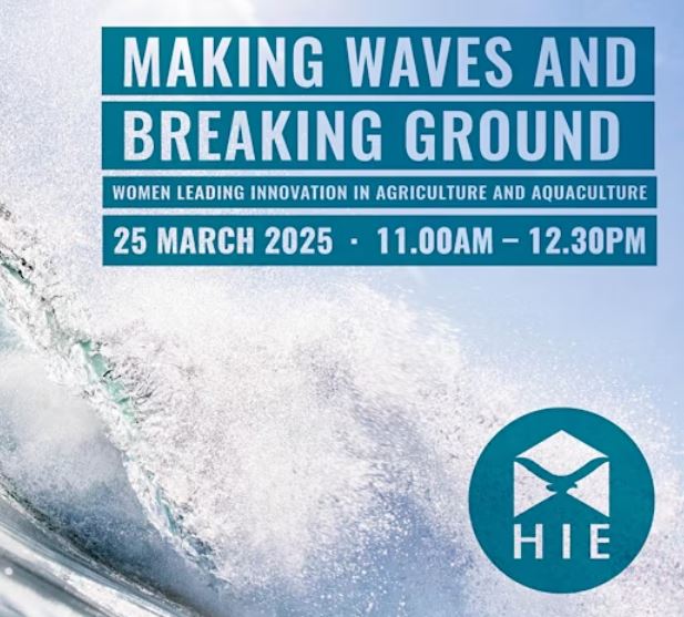 Making Waves & Breaking Ground