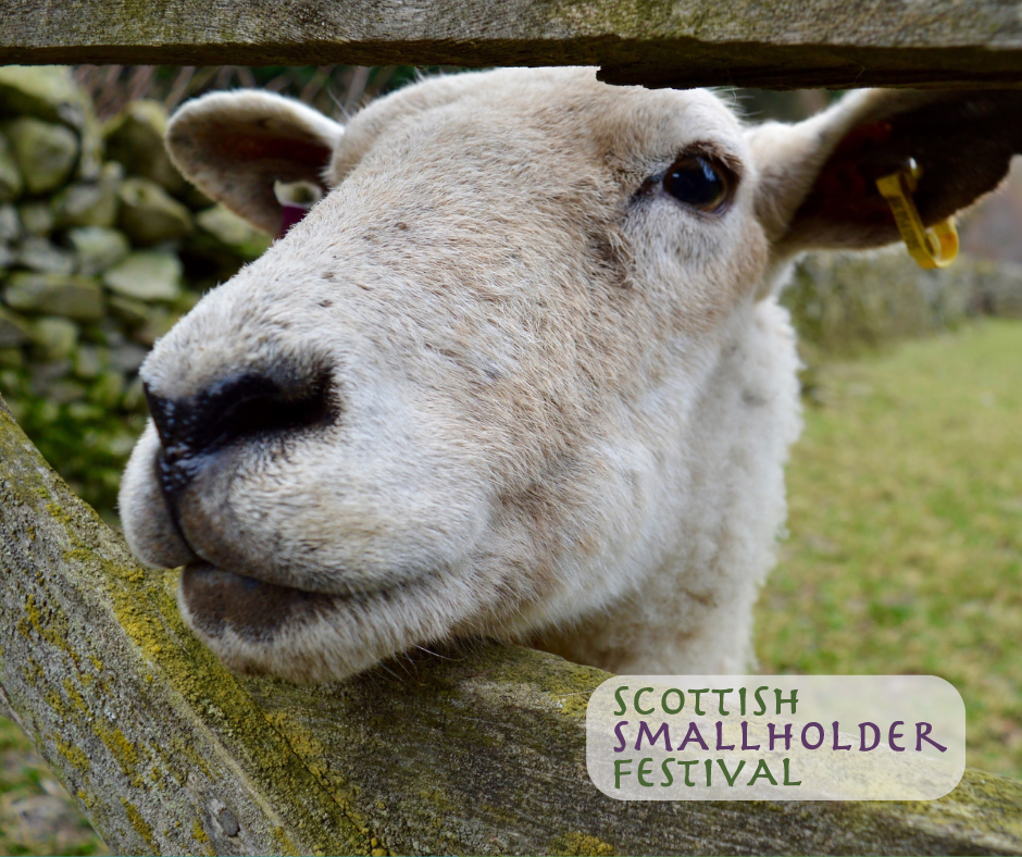 Scottish Smallholder Festival 2024