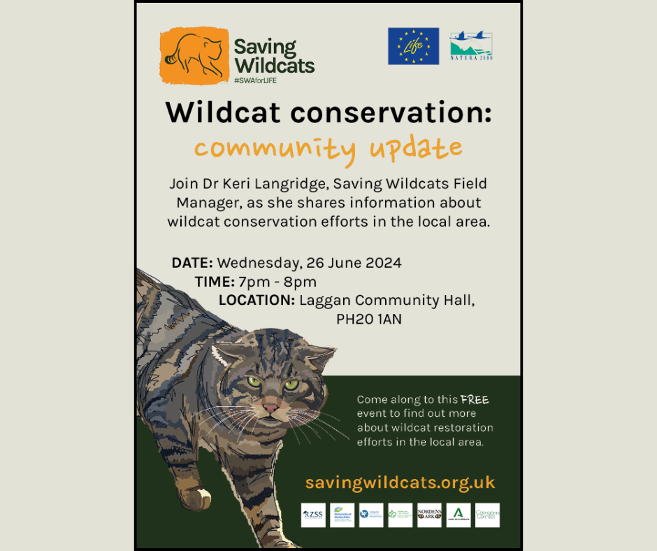 Saving Wildcats talk at Laggan Village Hall Flyer