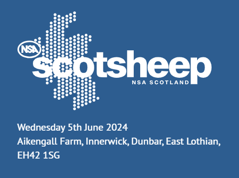 ScotSheep 2024