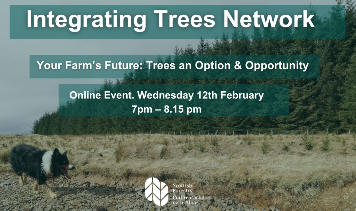 Your farm's future: Trees an option and opportunity? Why and how they can benefit your business