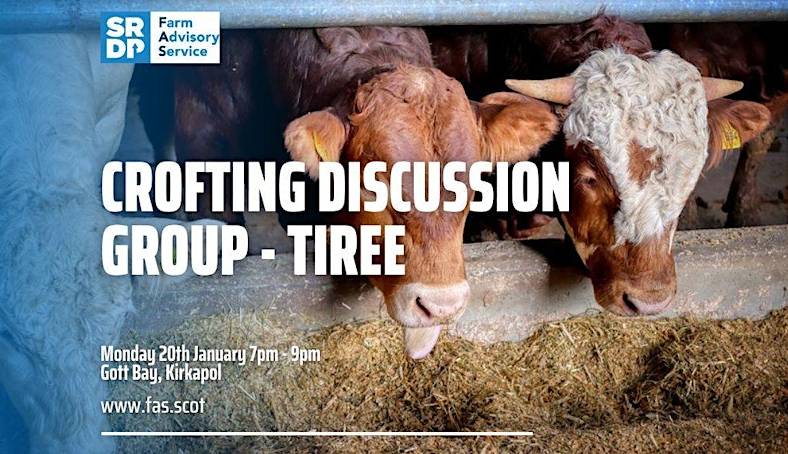 Crofting Discussion Group – Tiree