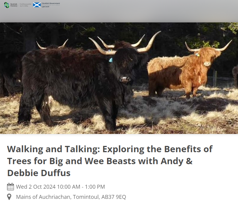 Walking and Talking: Exploring the Benefits of Trees for Big and Wee Beasts with Andy & Debbie Duffus