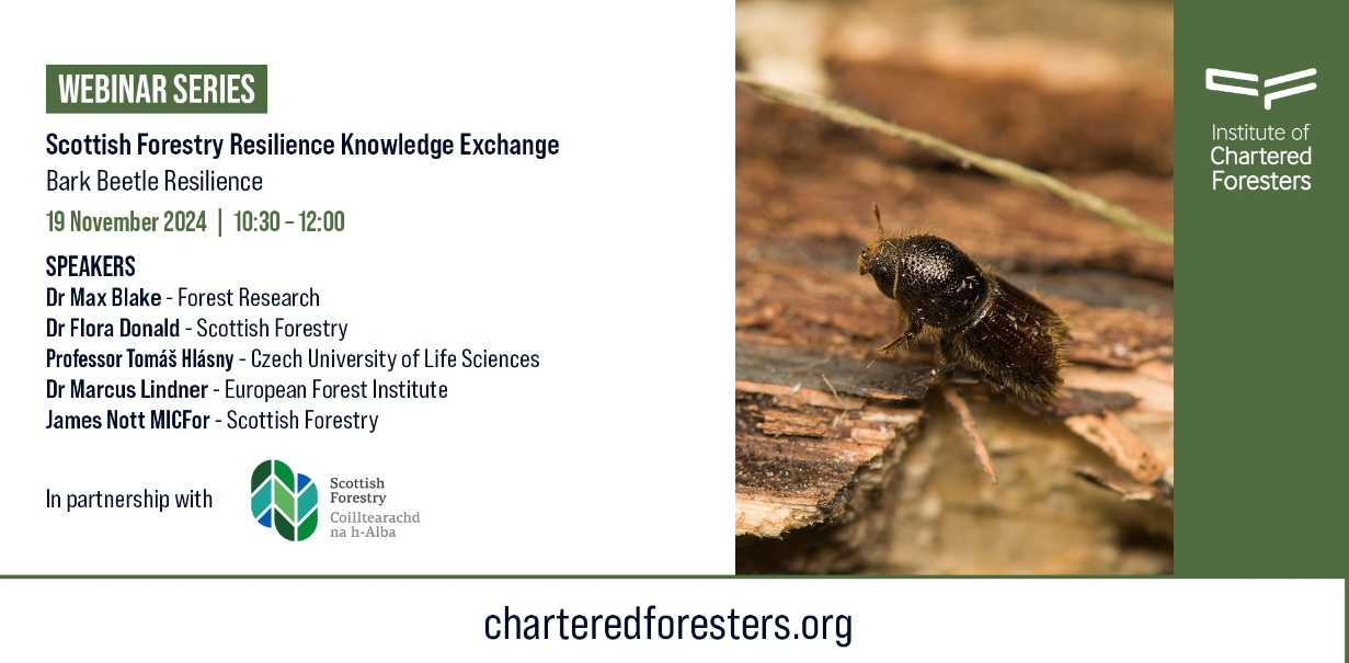 Scottish Forestry Resilience Knowledge Exchange Webinar: Bark Beetle Resilience