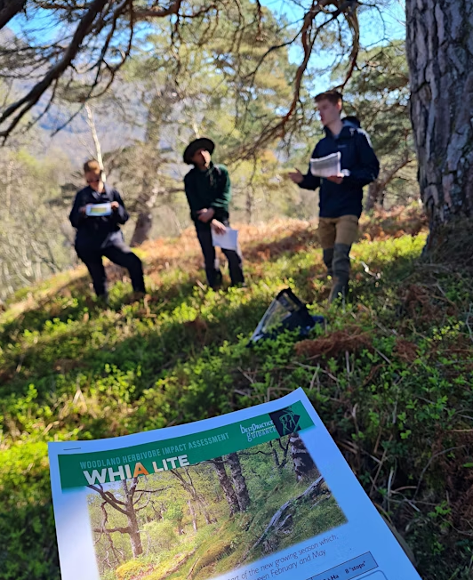  The Wild Deer Best Practice guidance collection - Team in woods 