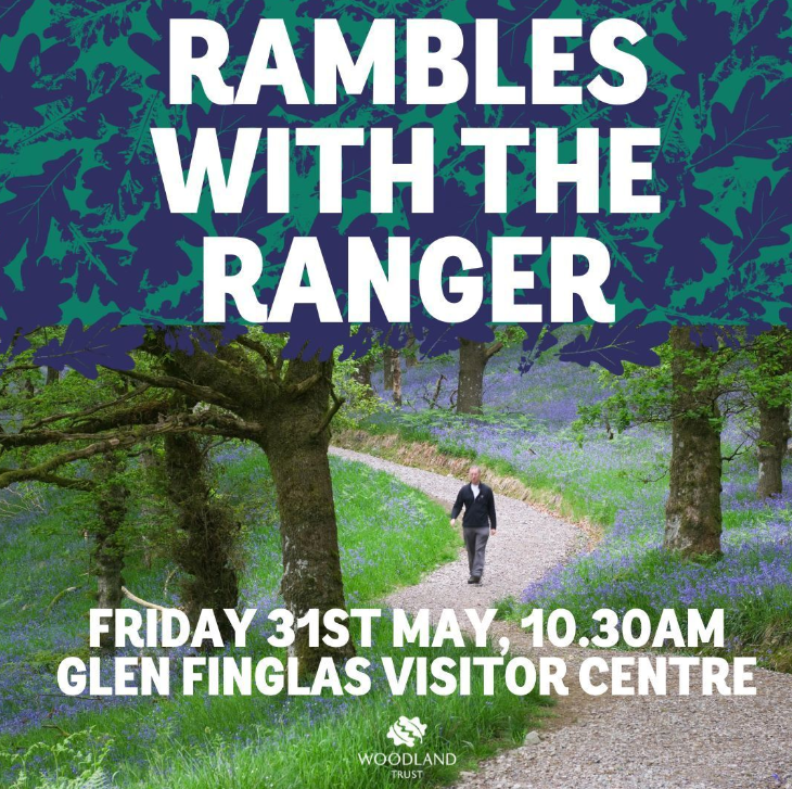 Rambles with the Ranger - Image of woodland