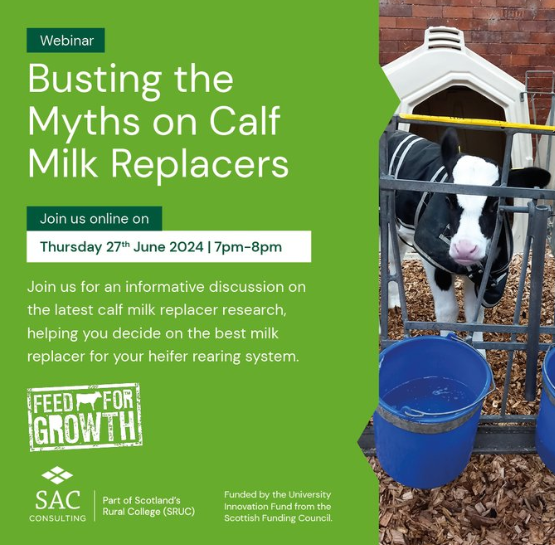 Busting the Myths on Calf Milk Replacers - Image of calf and event details 