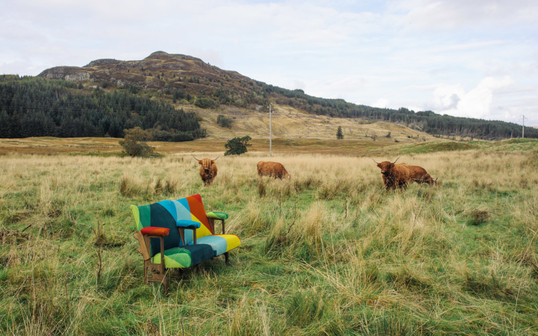 Colourfully patterned couch in a field with Highland Cows