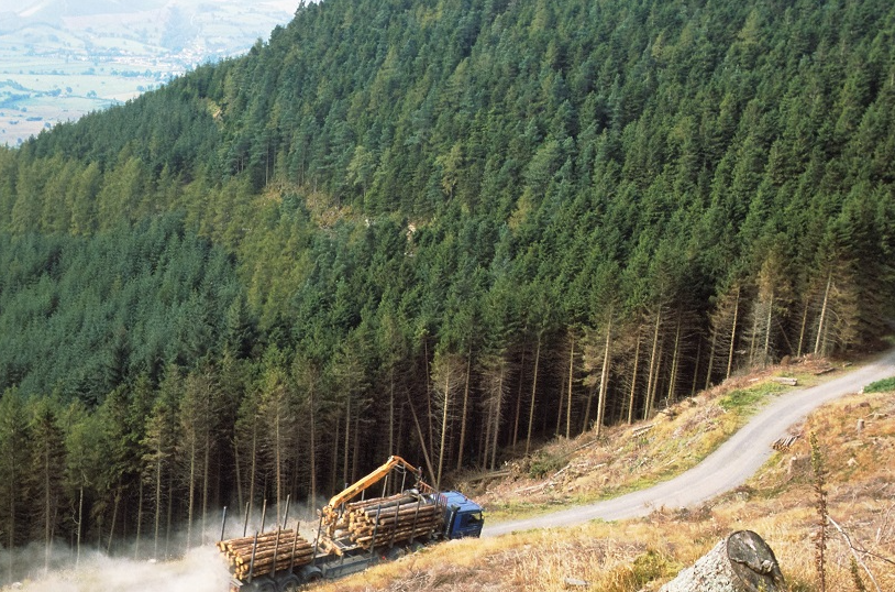 Timber being Hauled off steep hill following harvesting 