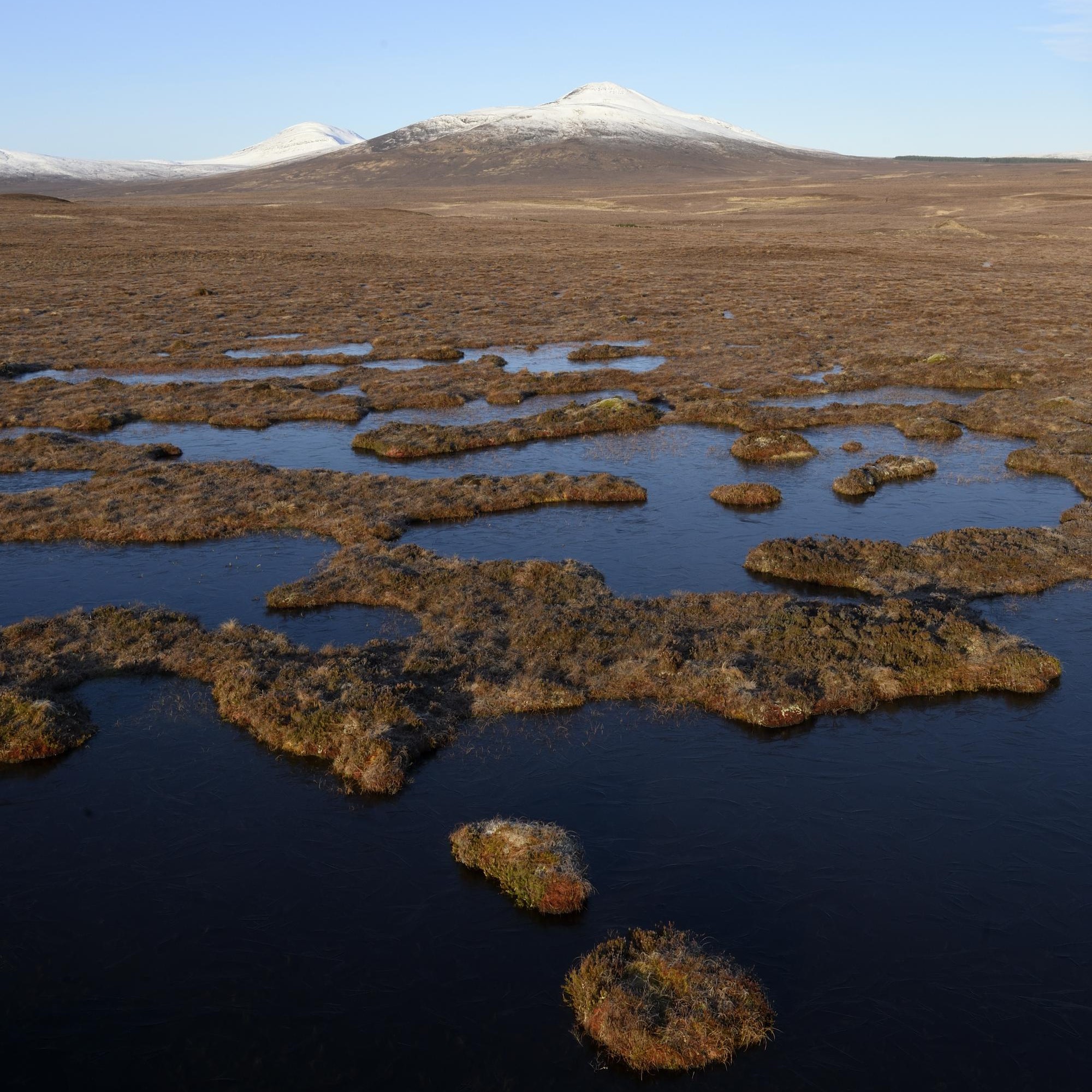 Record high peatland restoration | Scottish Rural Network