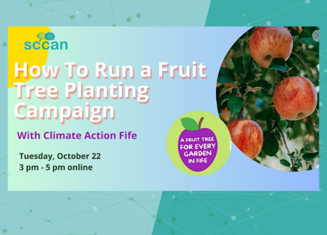 How to Run a Fruit Tree Planting Campaign Flyer