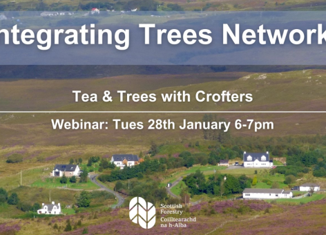 Tea and Trees with Crofters