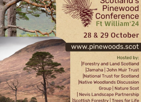 Scotland's Pinewood Conference - Event image - trees and dates/details