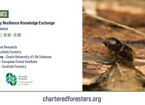 Scottish Forestry Resilience Knowledge Exchange Webinar: Bark Beetle Resilience