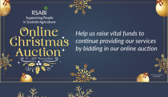 RSABI Launches Debut Christmas Online Auction