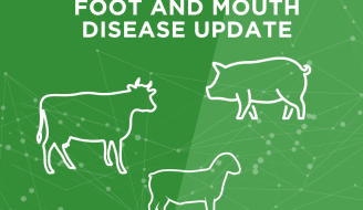 Foot and mouth disease