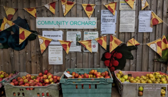 Image of Community produce - Apples - Dunkeld-  Taken by Alan Robertson 