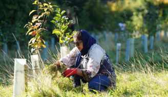 Bridging Scotland’s Forestry Skills Gap with our new Skills Programme