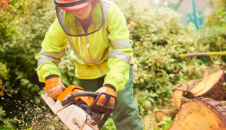 Woman in Forestry - image of Forester 