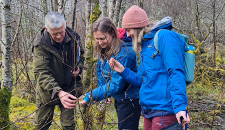 Group of 3 people inspecting woodland habitat