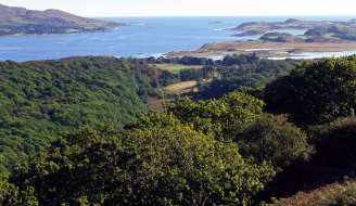 Oak woodland on the slopes above Loch Sween, Taynish NNR - credit Lorne Gill-SNH