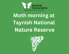  Moth Morning at Taynish National Nature Reserve