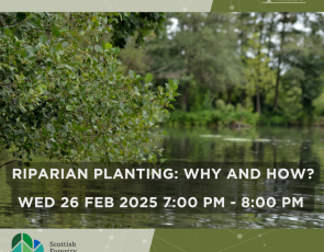 Riparian Planting: Why and How? 