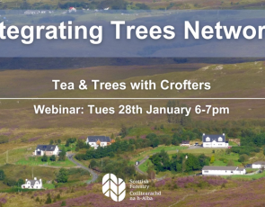 Tea and Trees with Crofters