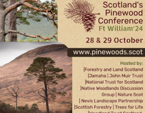 Scotland's Pinewood Conference - Event image - trees and dates/details