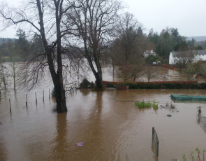Rivery Tay flooding allotment's in Dunkeld