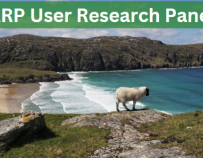 SRN image of lamb - user research panel 