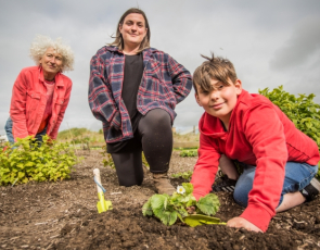 Small boy planting seeds as two adults look on