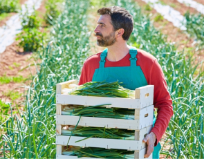 young farmer with spring onions