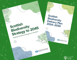 Biodiversity Strategy and a new Biodiversity Delivery Plan