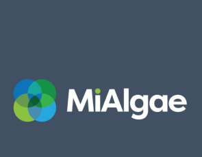 MiAlgae logo