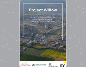 Project Willow report cover